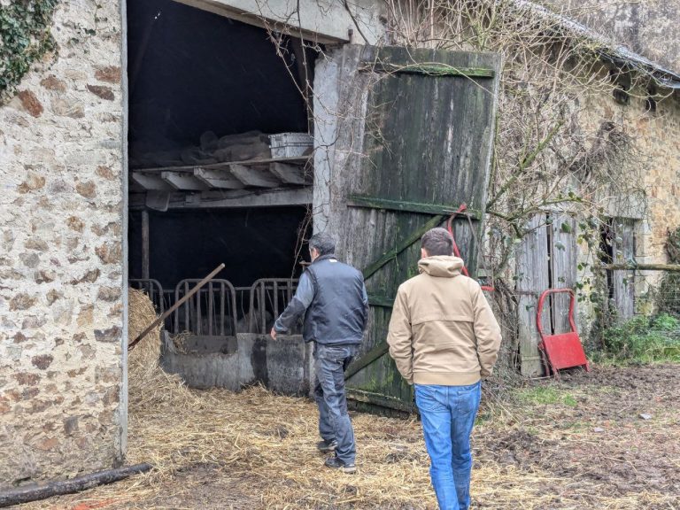 Visite du Puy d&rsquo;Henriat, ferme bio à Ambazac